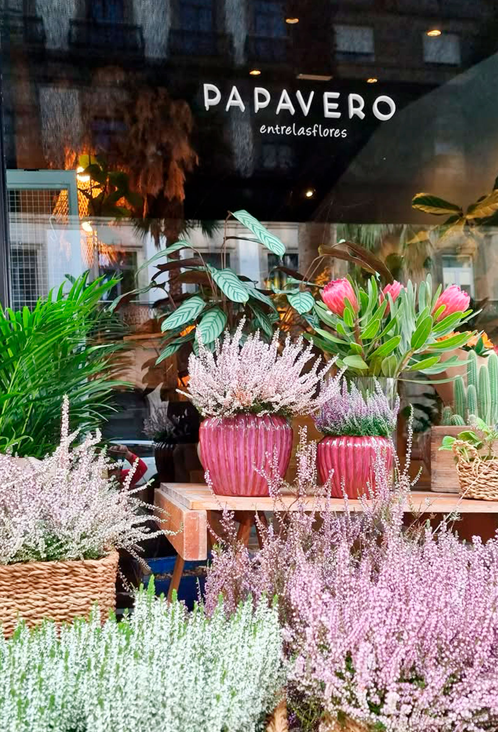 entrada a la floristería papavero en Vigo con su escaparate lleno de flores frescas y plantas en maceta