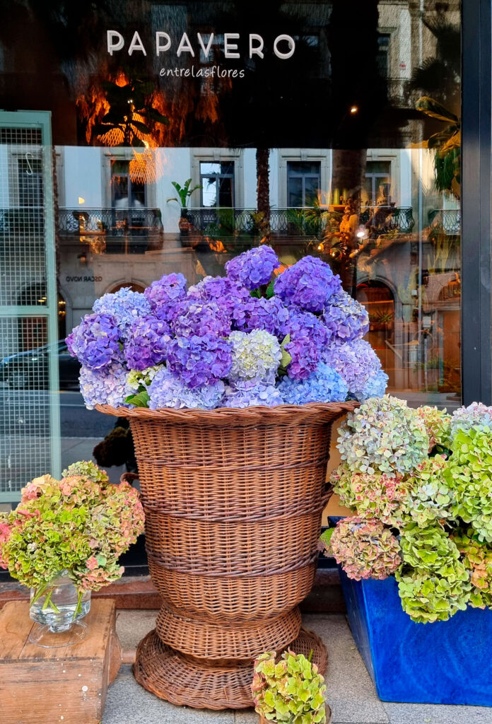 entrada al local de la floristería Papavero en Vigo con cestos de hortensias en el escaparate