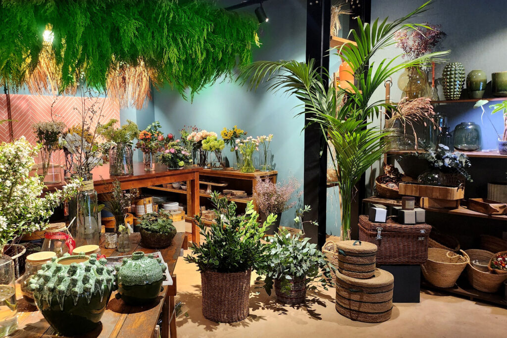 interior de la floristería Papavero en Vigo con su exposición de plantas